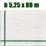 Telo per Pacciamatura  Bianco Quadrettato Tessuto Polipropilene Antistrappo - mt 80 x 5,25  H